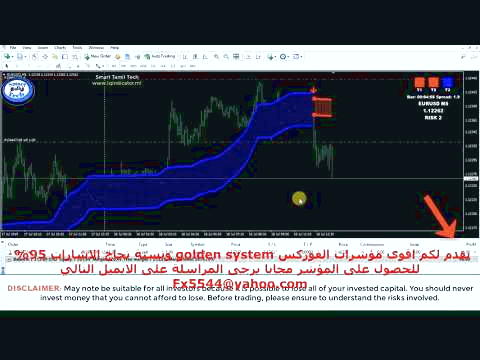 میزان درآمد یک تریدر در ماه چقدر است؟